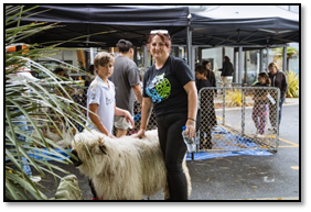 A picture containing outdoor, mammal

Description automatically generated