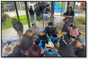 A group of people petting sheep

Description automatically generated with low confidence