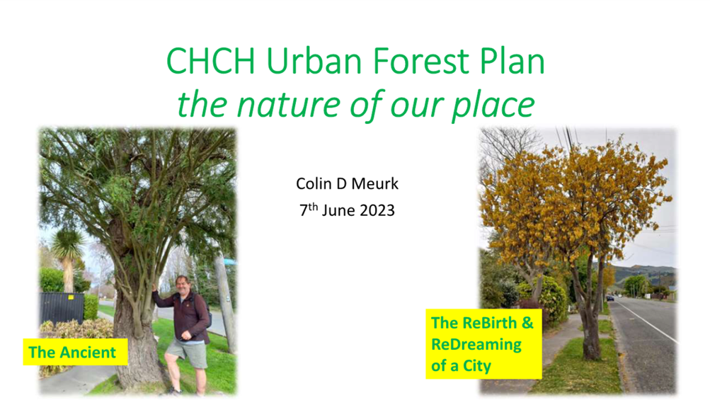 A picture containing text, plant, outdoor, tree

Description automatically generated