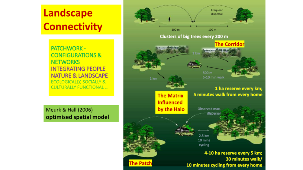 A picture containing text, map, screenshot, tree

Description automatically generated