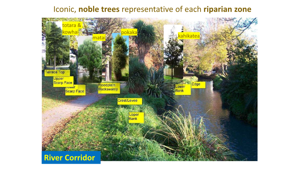 A picture containing plant, tree, screenshot, text

Description automatically generated