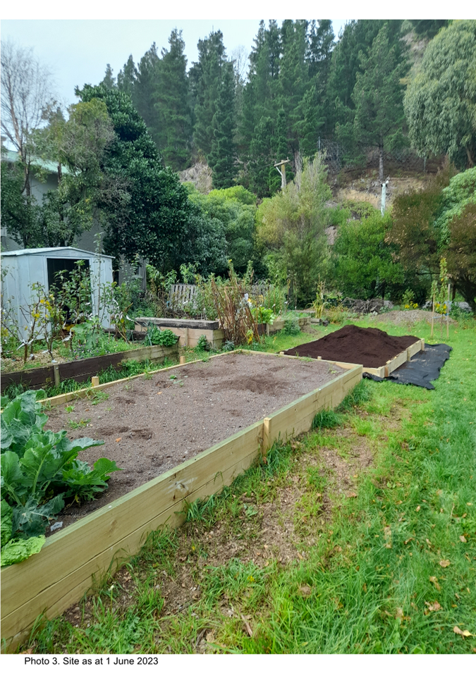 A picture containing outdoor, tree, grass, sky

Description automatically generated