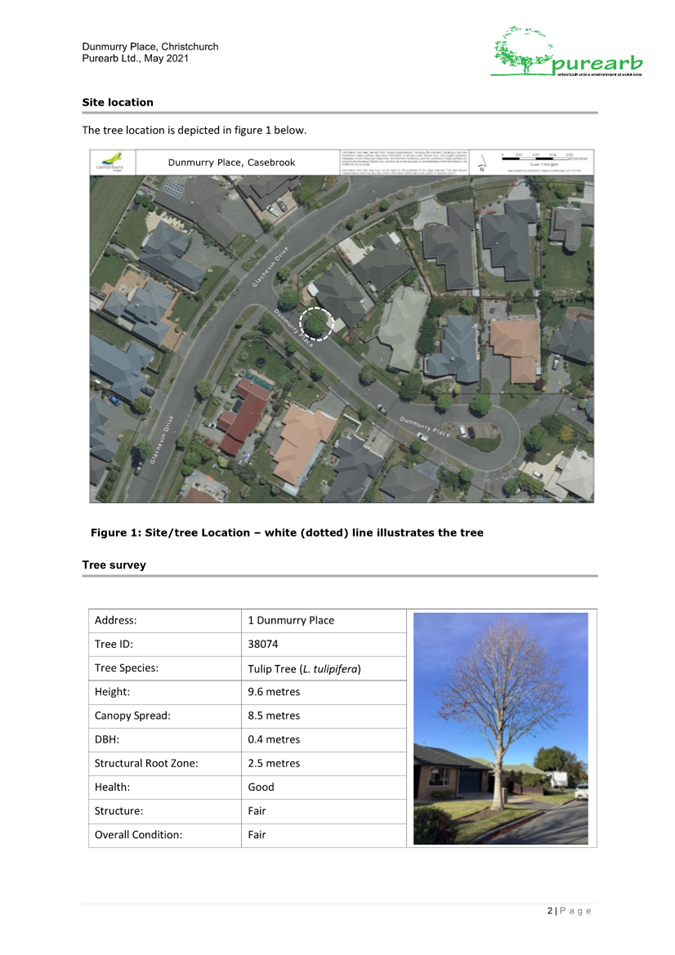 A picture containing text, map, screenshot, tree

Description automatically generated