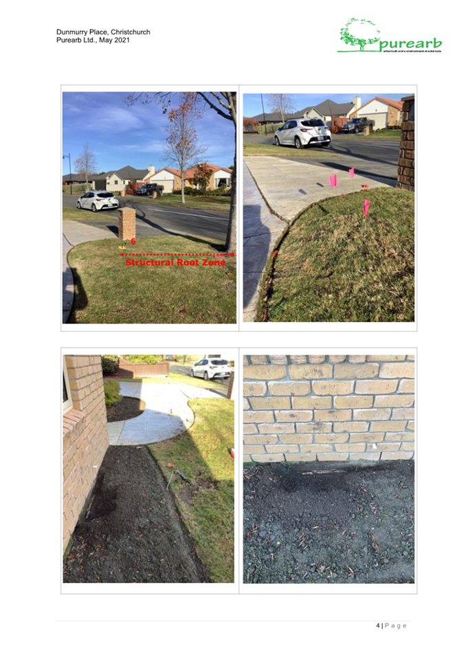 A picture containing outdoor, screenshot, tree, sky

Description automatically generated