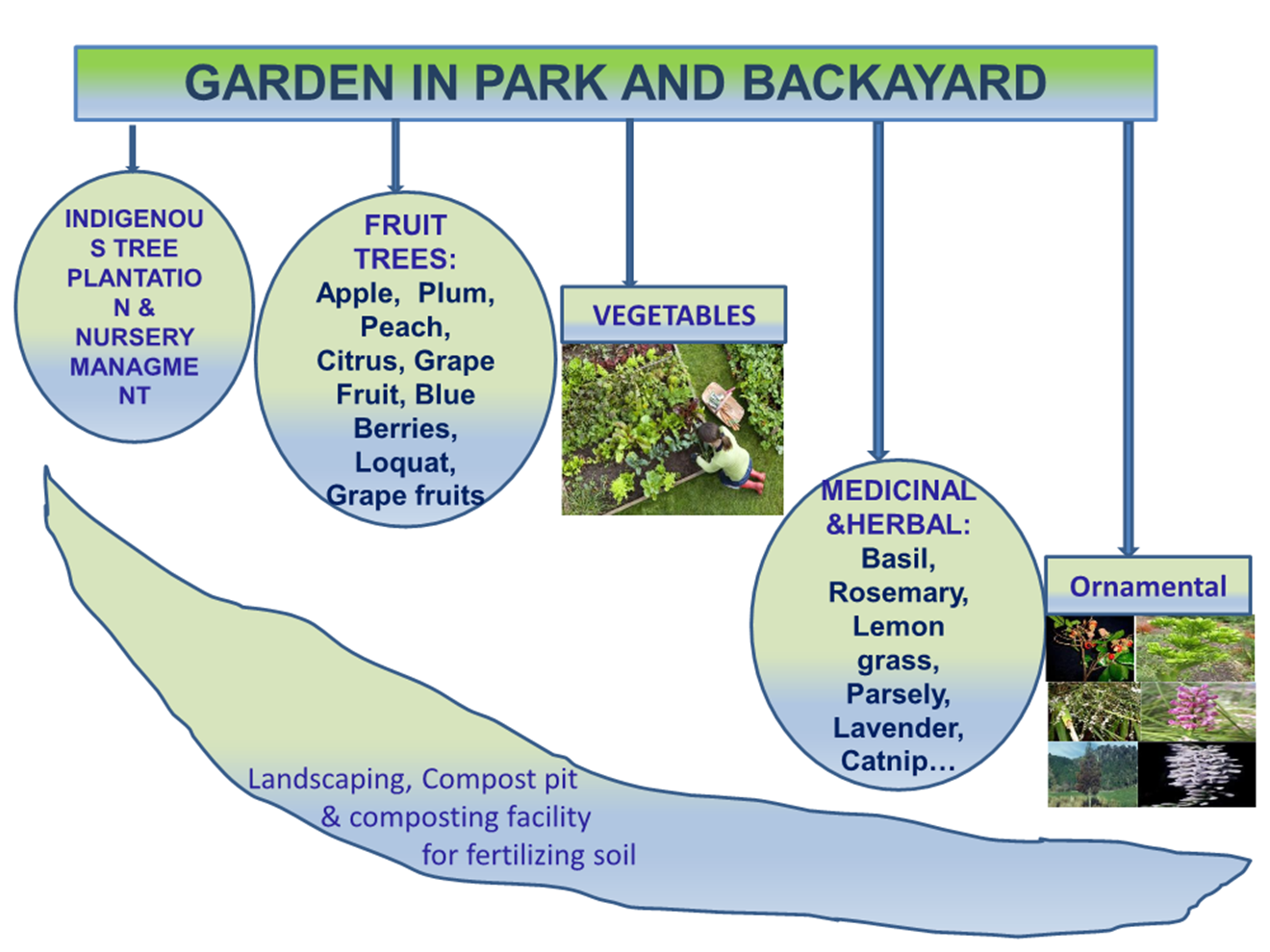 A diagram of a garden

Description automatically generated
