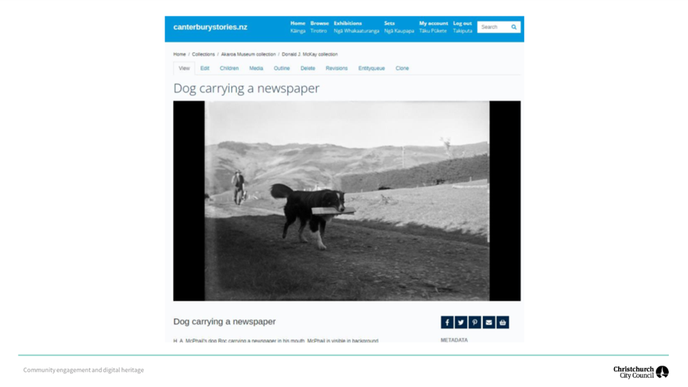 A screenshot of a computer

Description automatically generated