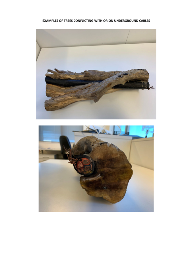 A piece of wood on a table

Description automatically generated