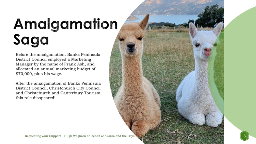 A couple of llamas lying on grass

Description automatically generated