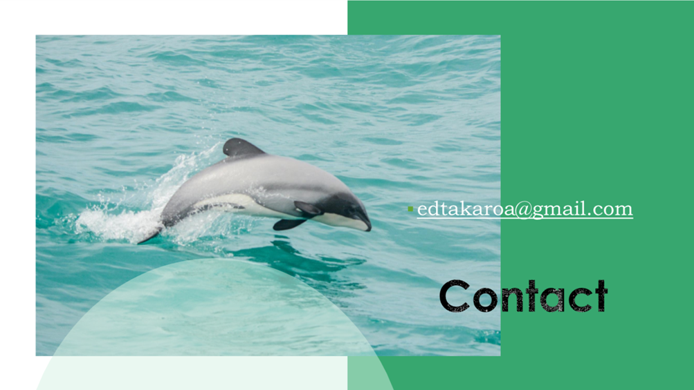 A dolphin jumping out of the water

Description automatically generated