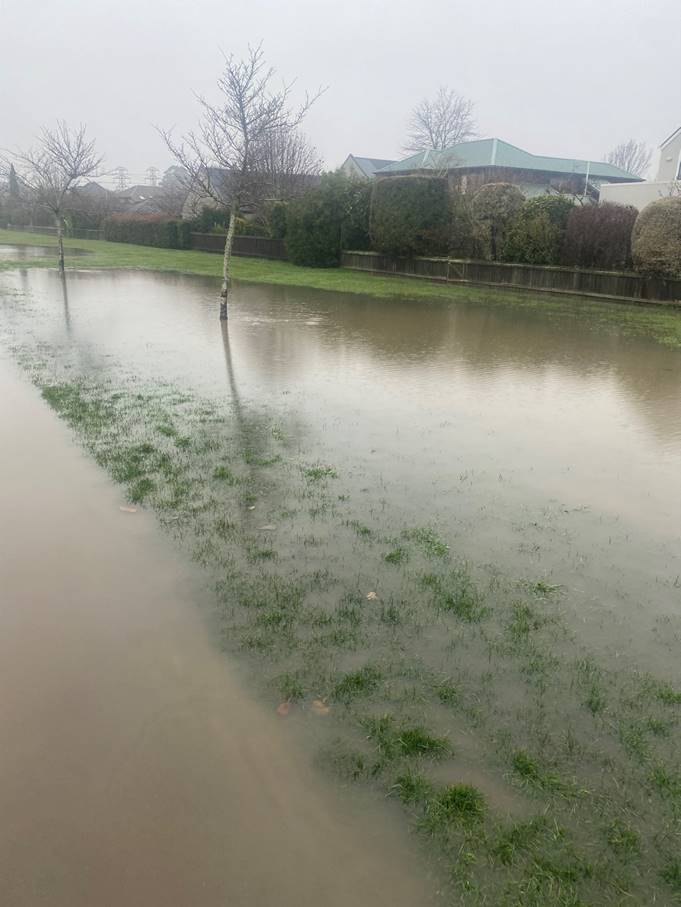 A flooded area with grass and trees

Description automatically generated