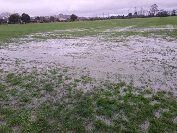 A field with water on it

Description automatically generated