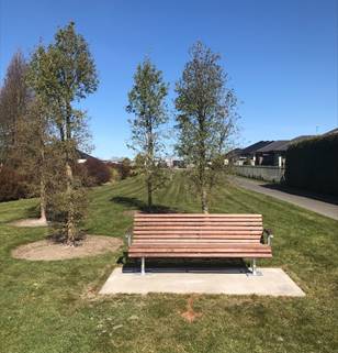 A bench in a park

Description automatically generated