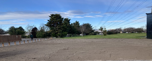 A dirt field with trees and power lines

Description automatically generated