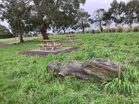 Picnic tables in a grassy field

Description automatically generated