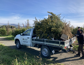 A truck with a pile of plants in the back

Description automatically generated
