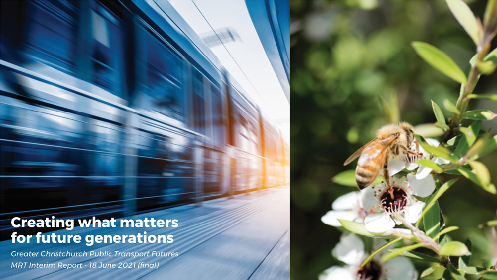 A bee on a flower next to a train

Description automatically generated