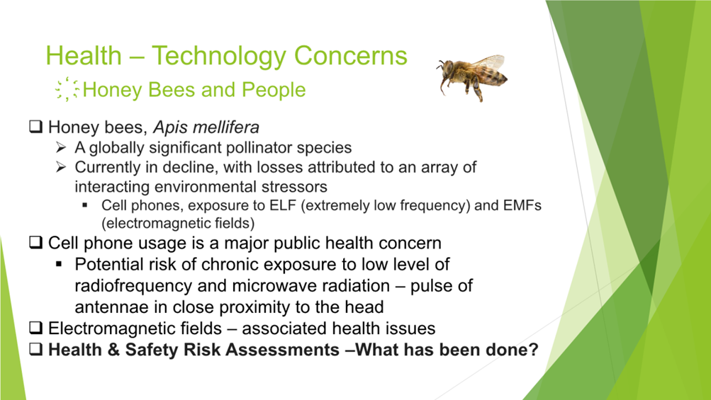 A close-up of a bee

Description automatically generated