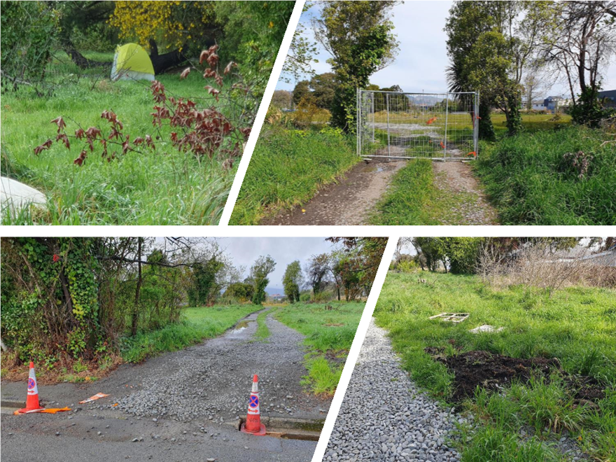 A collage of a path with grass and a fence

Description automatically generated