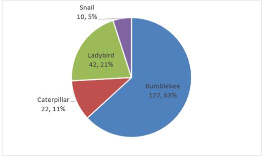 A pie chart with numbers and text

Description automatically generated