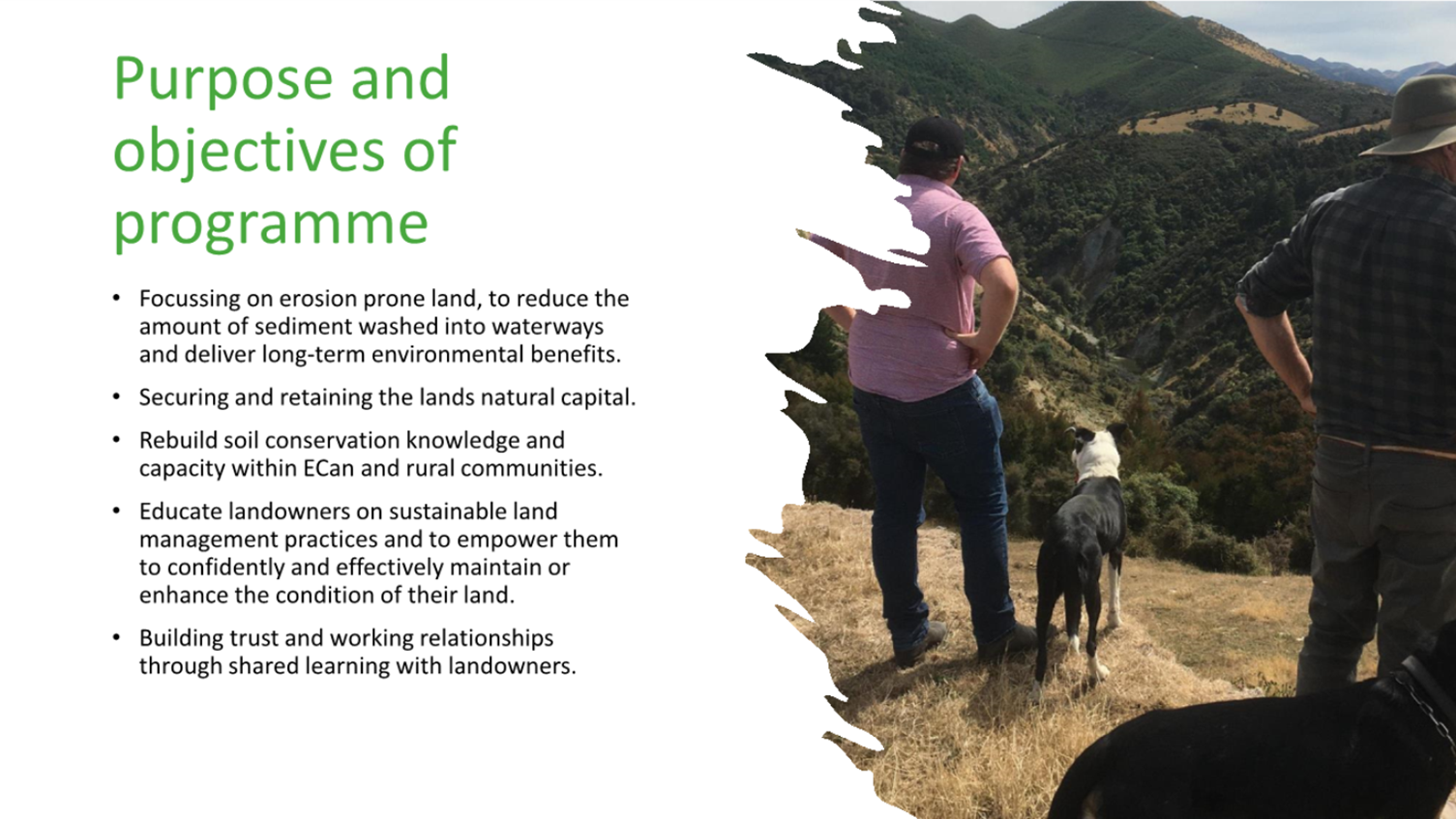 A person and a dog on a hill

Description automatically generated