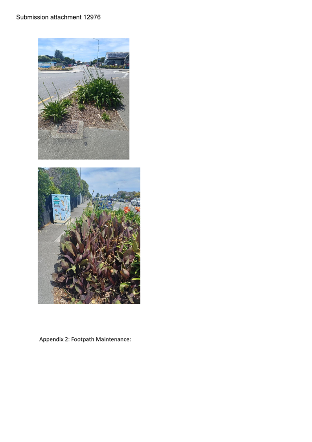 A collage of plants on the side of the road

Description automatically generated
