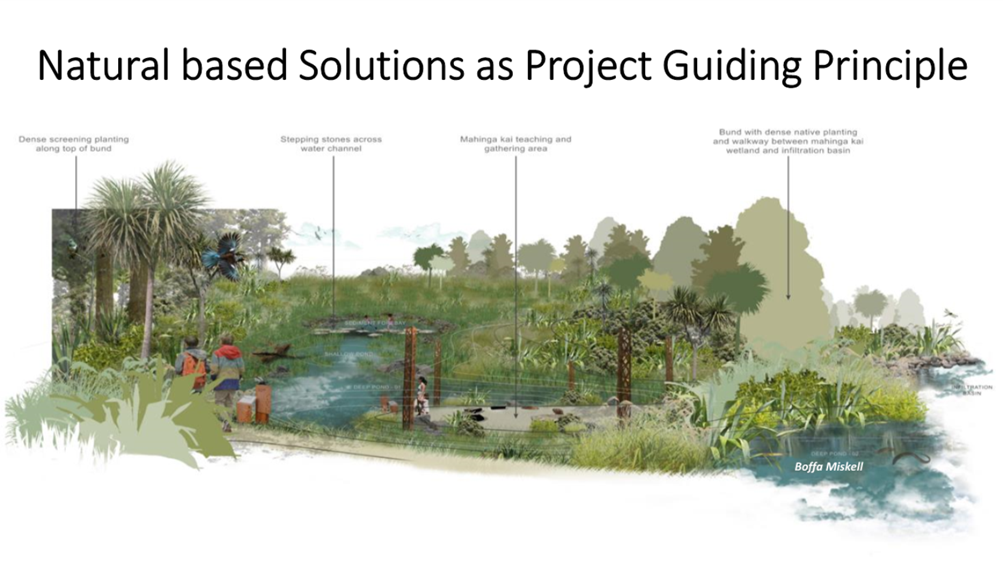 A diagram of a pond with trees and plants

Description automatically generated