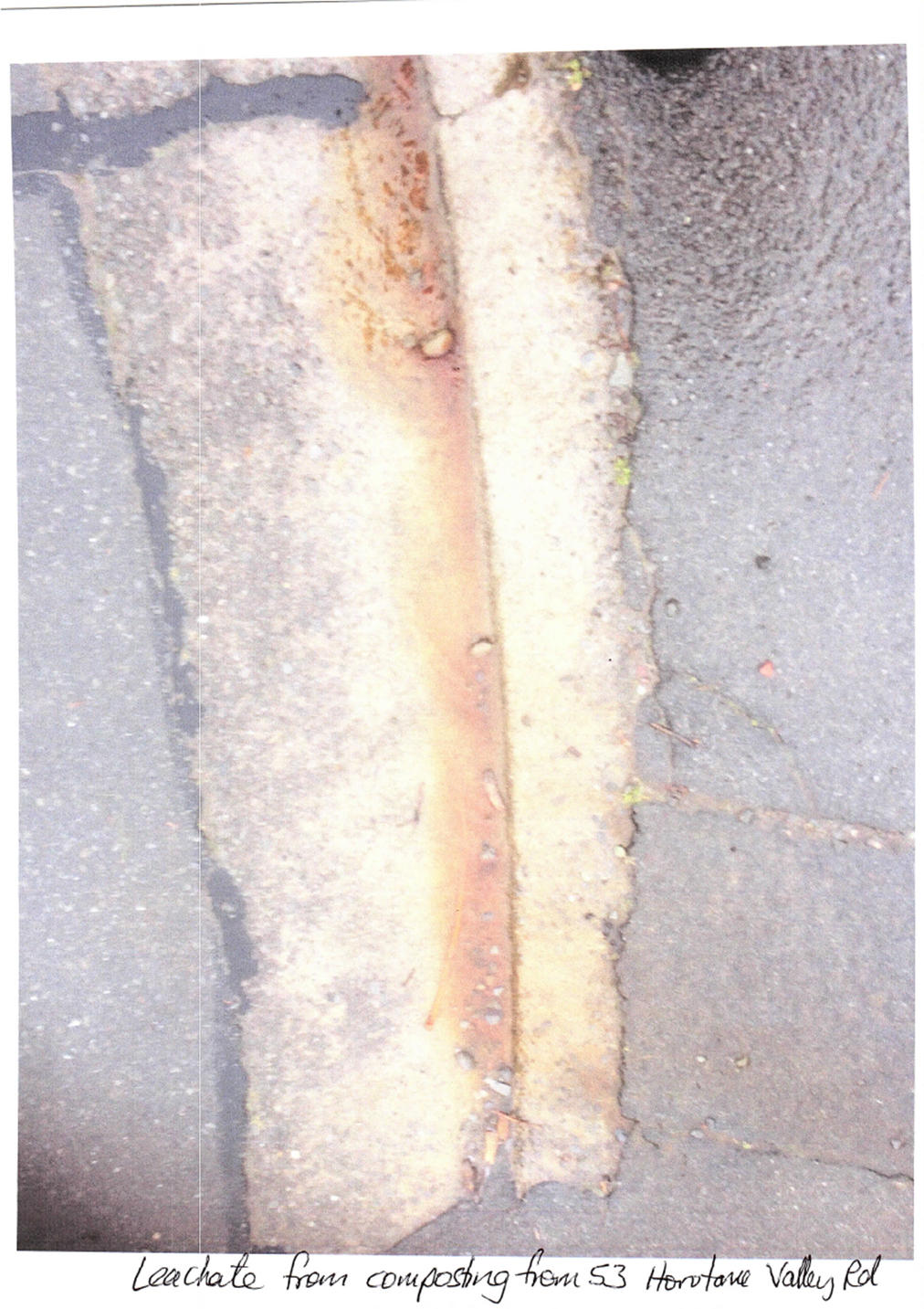 A close-up of a crack in the pavement

Description automatically generated