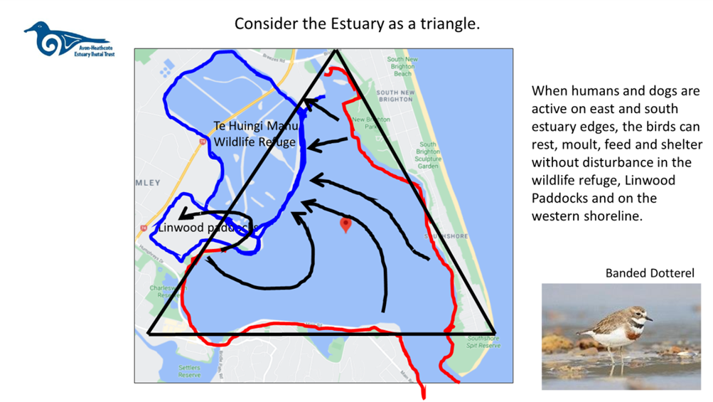 A map with red and blue lines

Description automatically generated