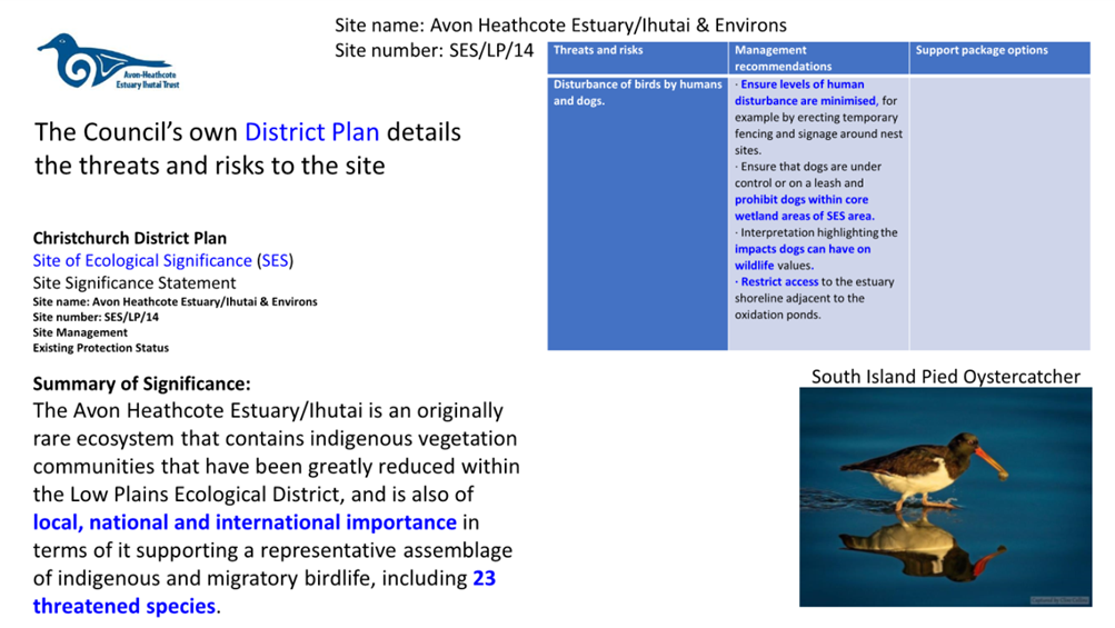 A screenshot of a website

Description automatically generated