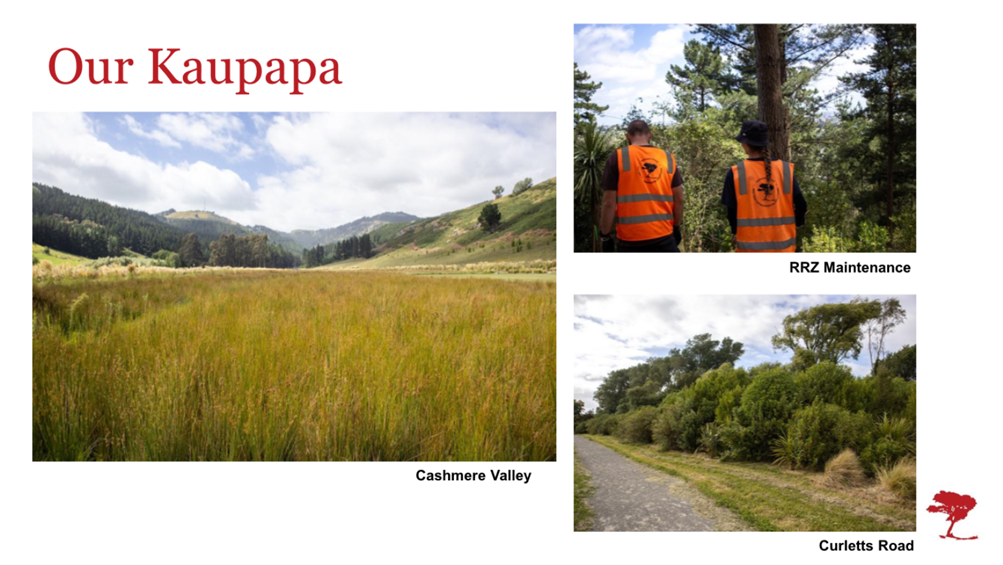 A collage of a person in orange vests

Description automatically generated