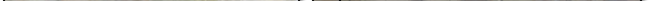 A group of people playing basketball

Description automatically generated,A group of people playing basketball

Description automatically generated,A group of people playing basketball

Description automatically generated
