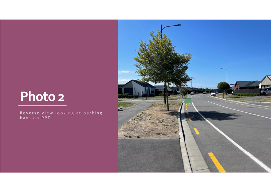 A road with a tree on it

Description automatically generated