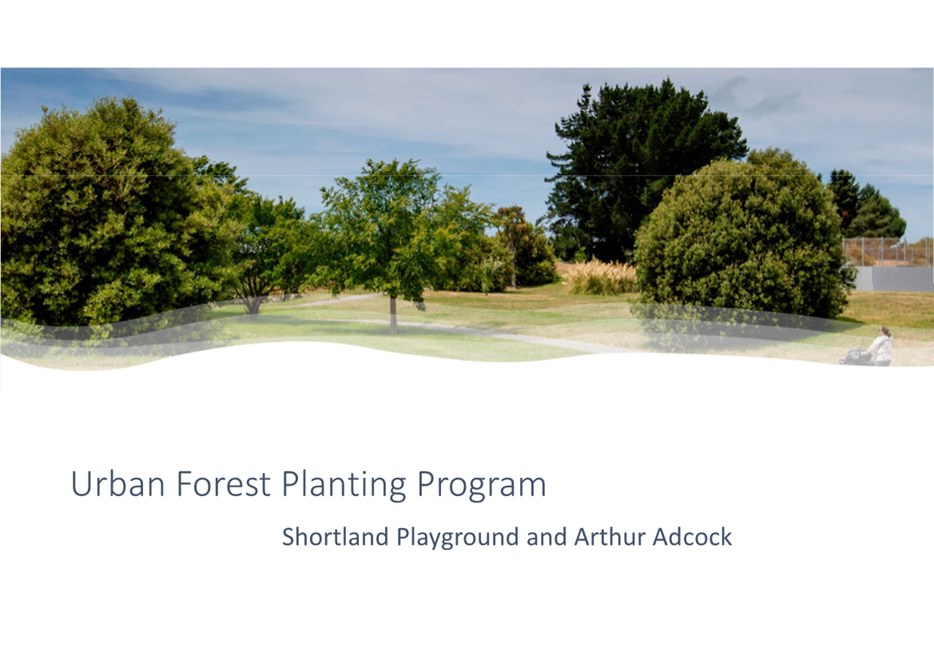 A group of trees in a park

Description automatically generated