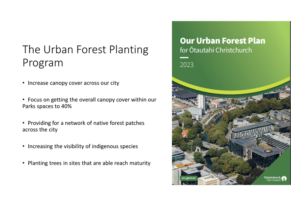 A brochure with a green cover and a green and white cover

Description automatically generated