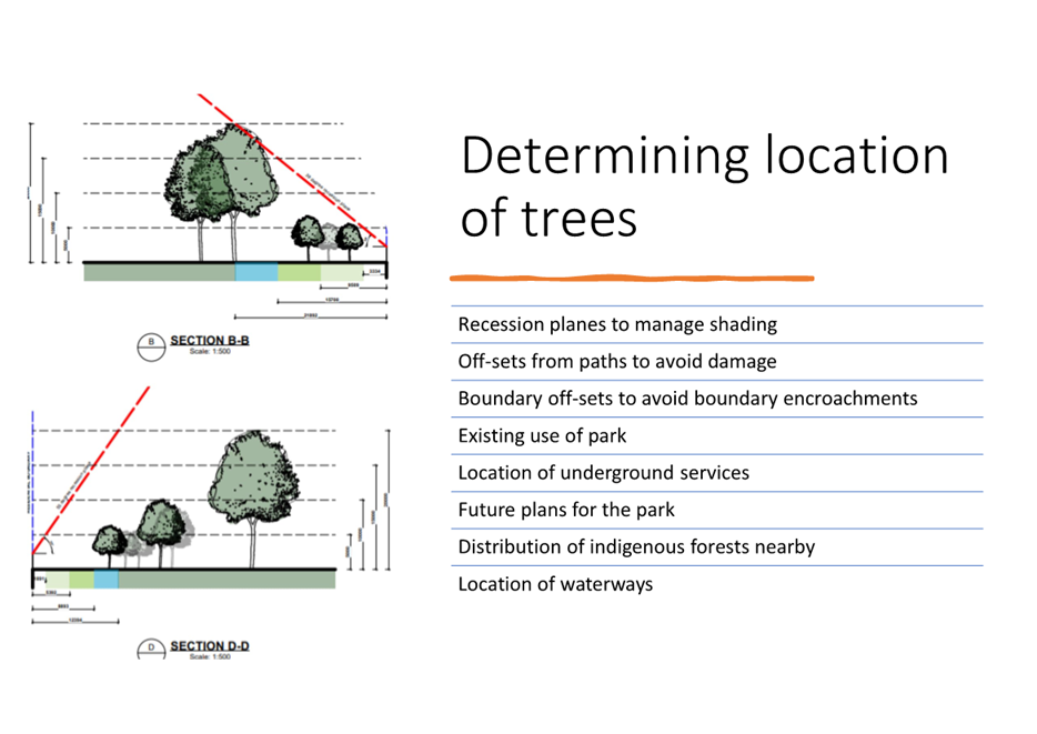 A diagram of trees and a diagram of a park

Description automatically generated with medium confidence