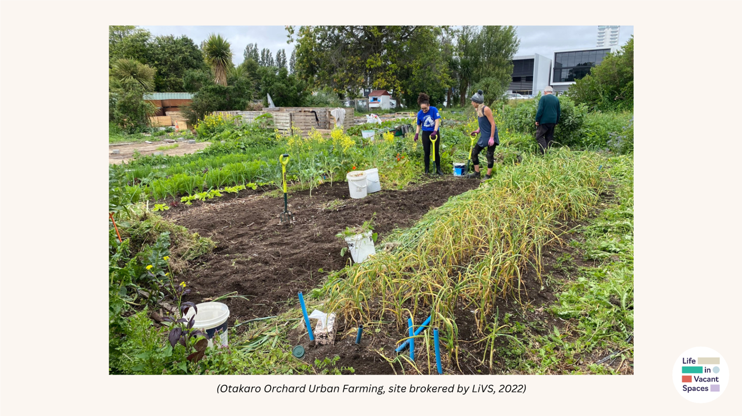 A group of people working in a garden

Description automatically generated