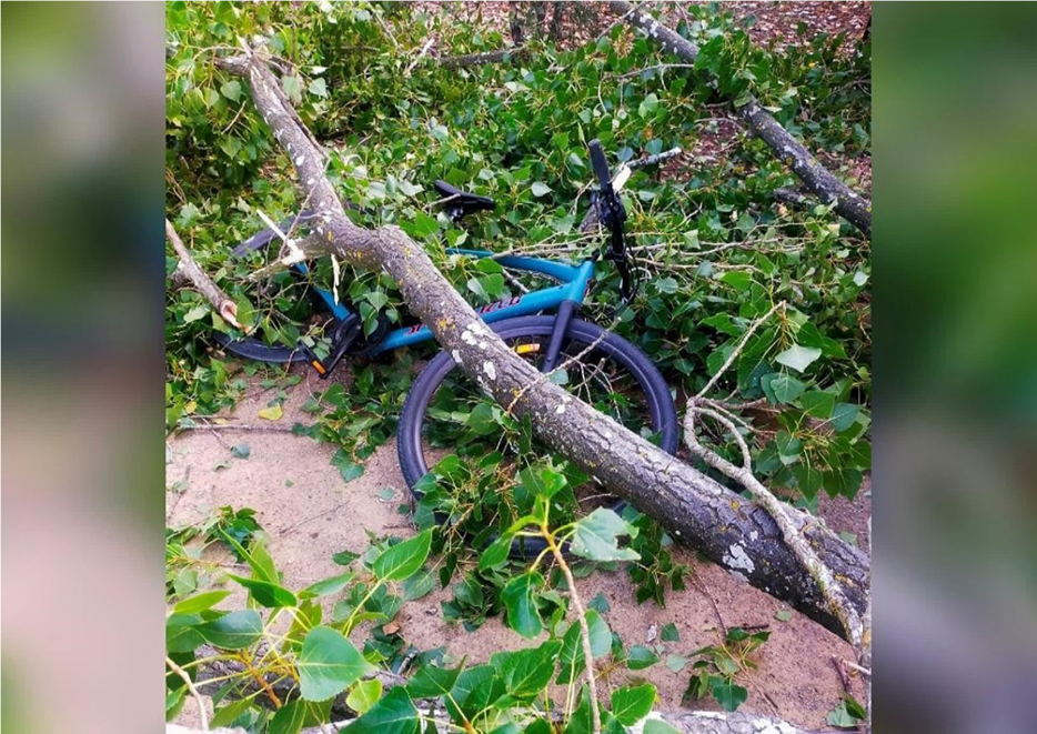 A bicycle lying on the ground

Description automatically generated