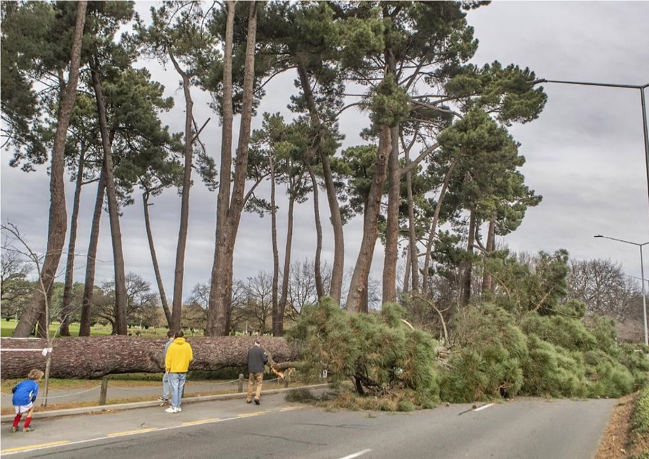 A group of people walking on the side of a road

Description automatically generated