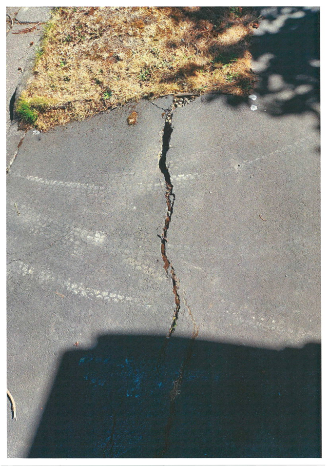 A crack in the pavement

Description automatically generated