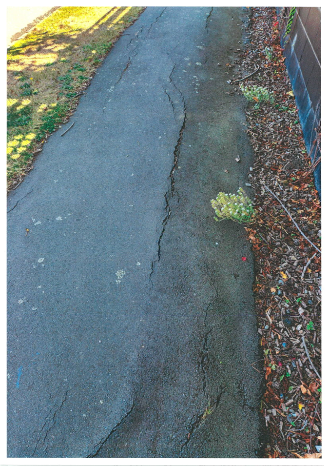 A road with a crack in the ground

Description automatically generated