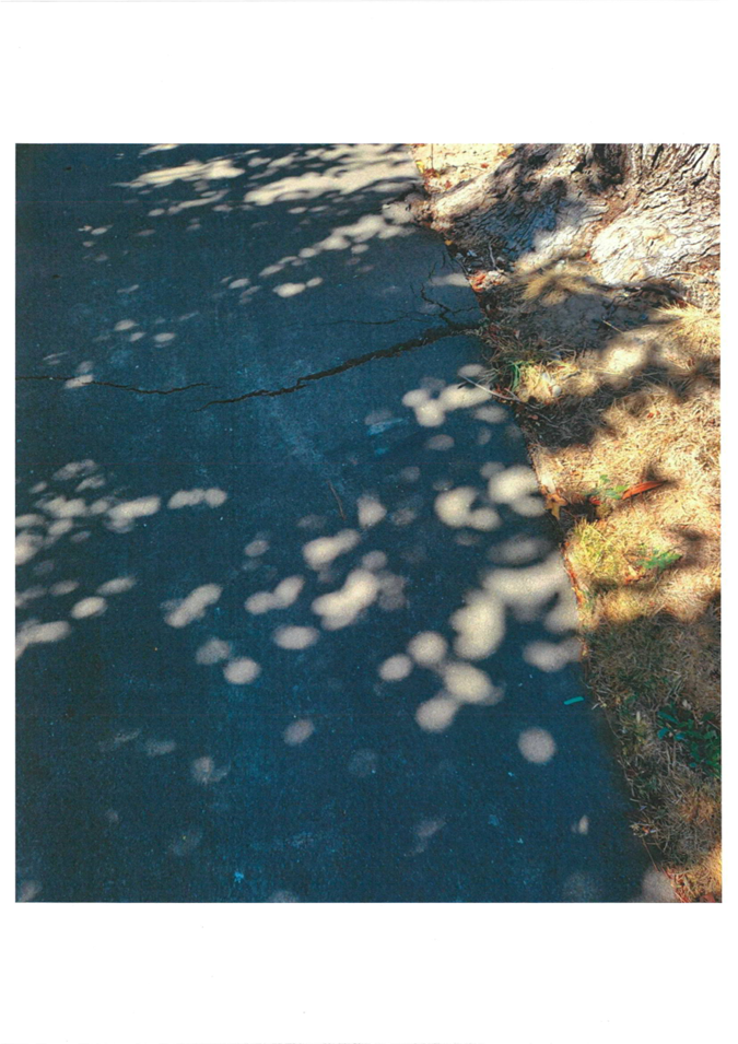 A shadow of a tree on a road

Description automatically generated