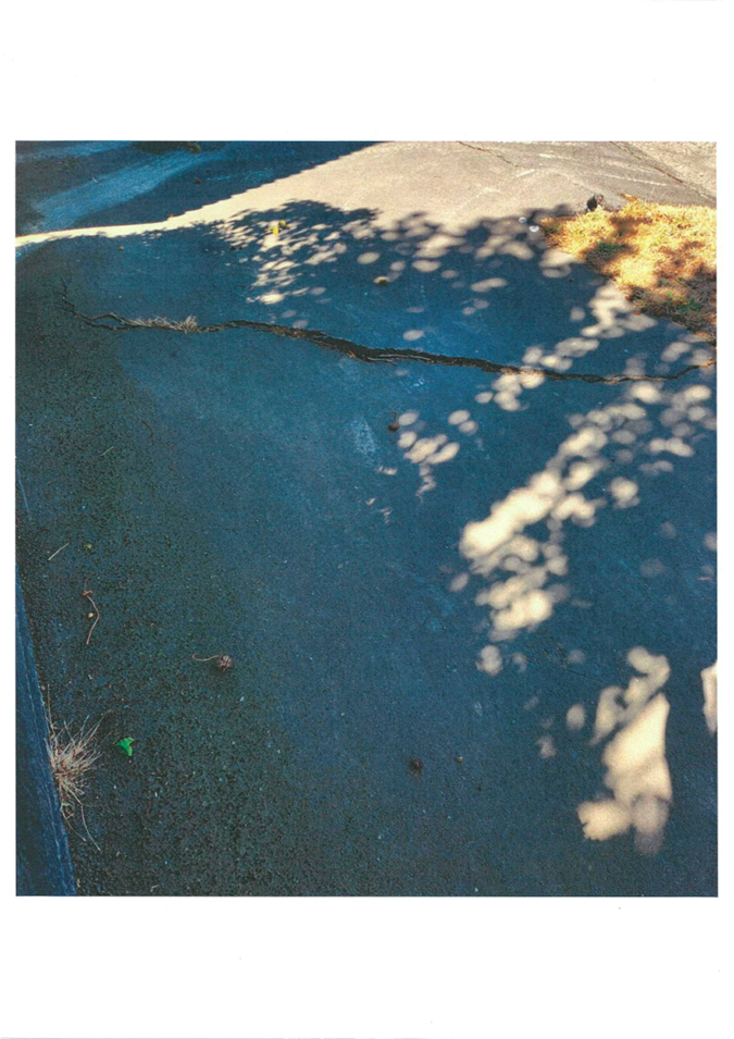 A road with a tree shadow

Description automatically generated with medium confidence