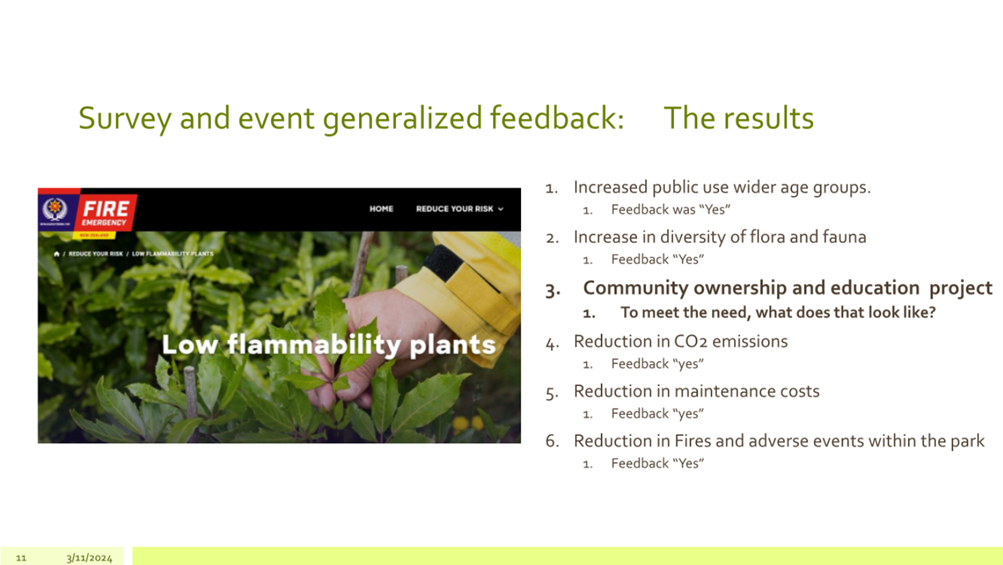 A close-up of a plant

Description automatically generated