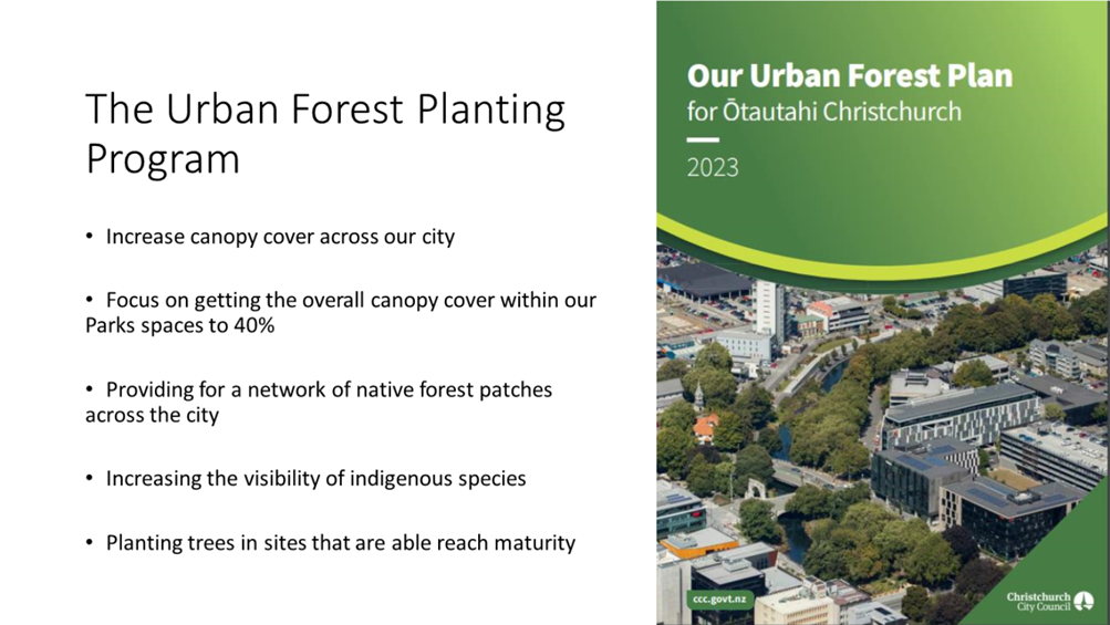 A brochure with a green and white cover

Description automatically generated