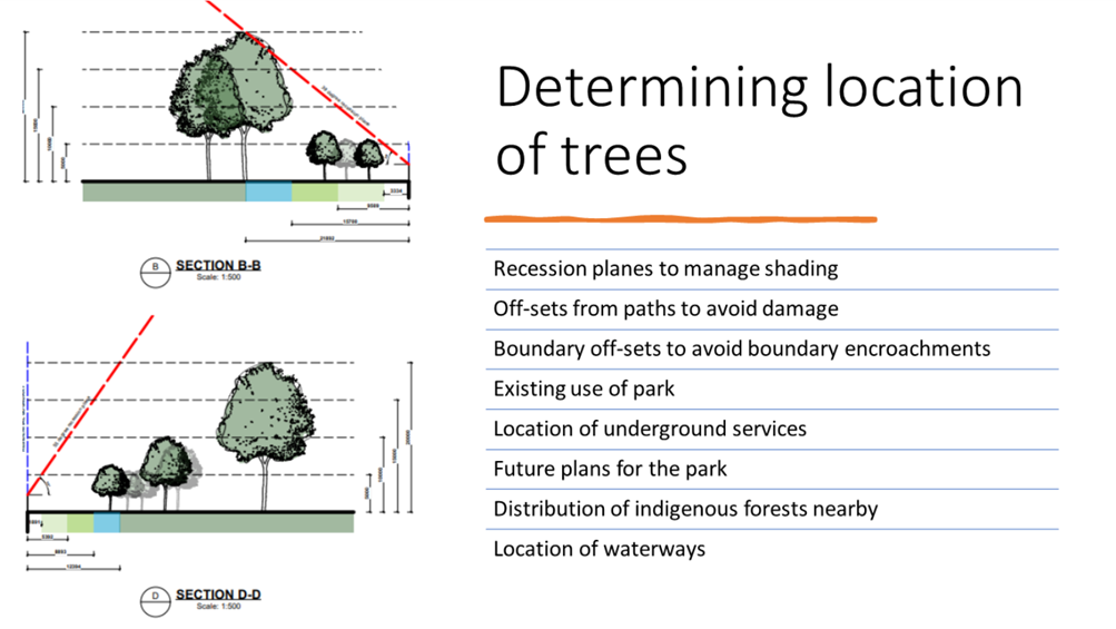 A diagram of trees and a diagram of a tree

Description automatically generated