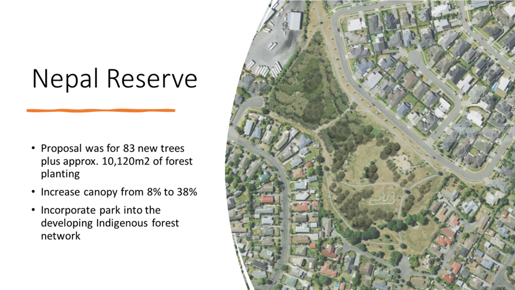 An aerial view of a forest reserve

Description automatically generated