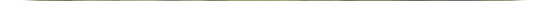A group of people standing in a forest

Description automatically generated