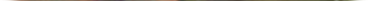 A group of people standing in a field

Description automatically generated