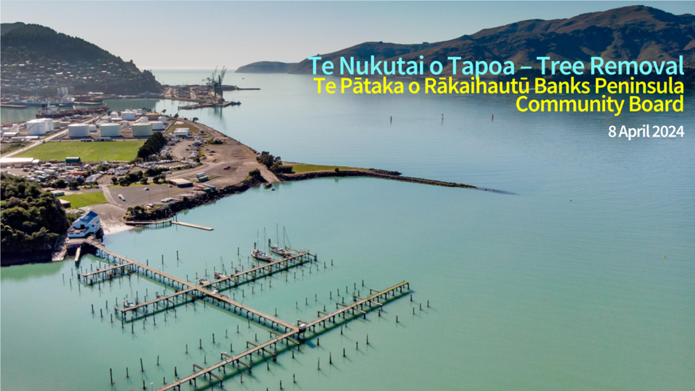 A dock in the water

Description automatically generated