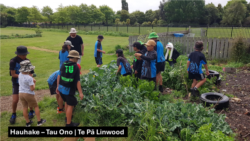 A group of people in a garden

Description automatically generated